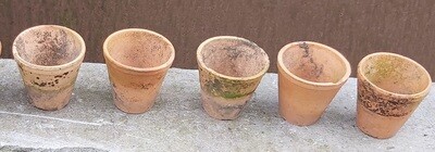Bloempotjes Potten potjes stenen potjes