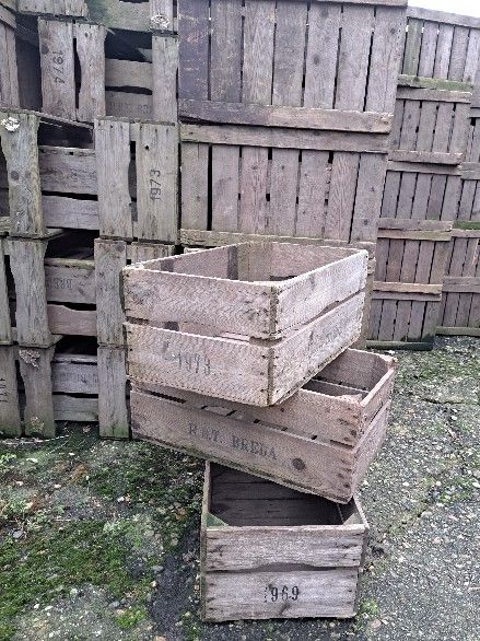 Kisten houten fruitkisten appelbakken vintage