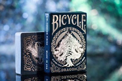 Bicycle Dragon