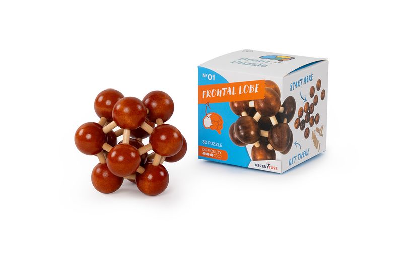 Brain Puzzle Nr 01: Frontal Lobe