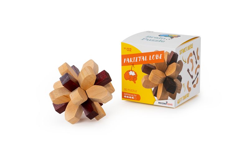 Brain Puzzle Nr 02: Parietal Lobe