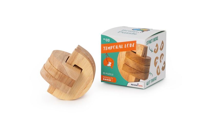 Brain Puzzle Nr 03: Temporal Lobe