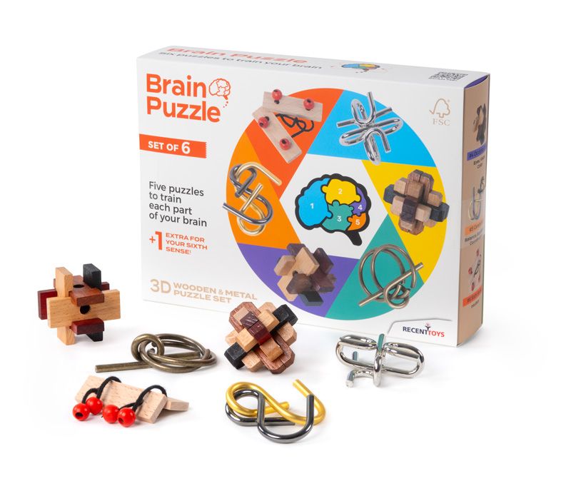 Brain Puzzle Set (6 pcs)