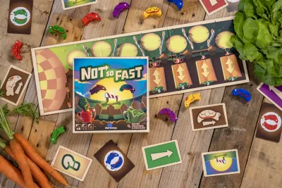 Not So Fast FR/EN (+ NL regelboek)