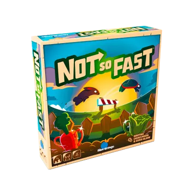 Not So Fast FR/EN (+ NL regelboek)