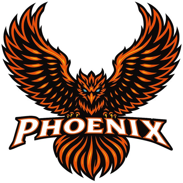 Cheer Logo Sweatshirt/Hoodie (ALL TEAMS)