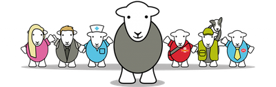 Herdy Collection