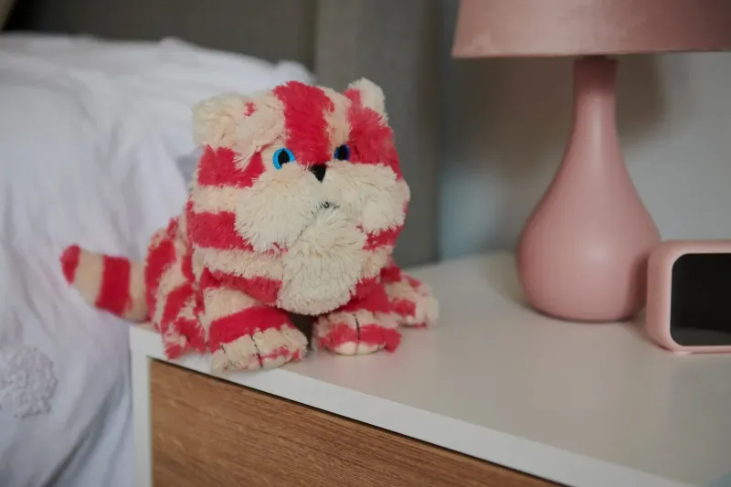 BAGPUSS CAT