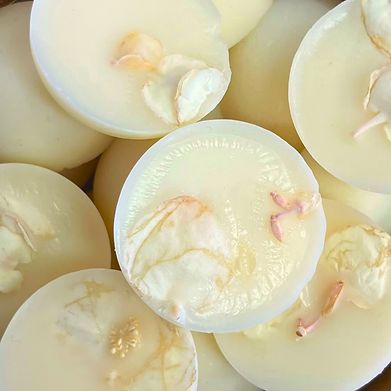 RHUBARB &amp; PLUM WAX MELT X 8
