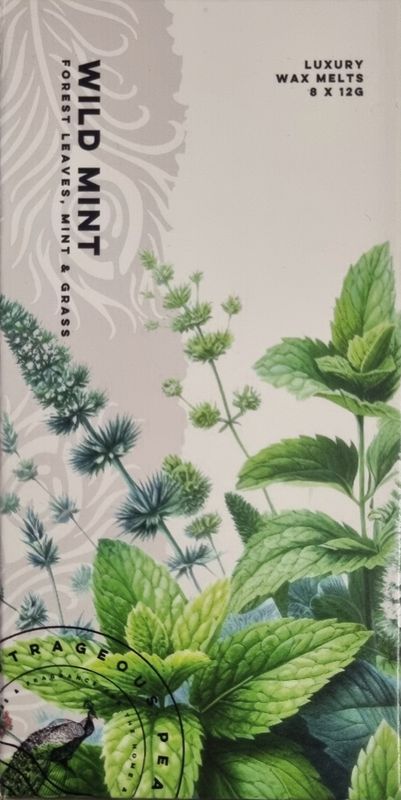 WILD MINT WAX MELT X 8