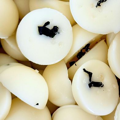 MIST OF THE MARSH WAX MELT X 8
