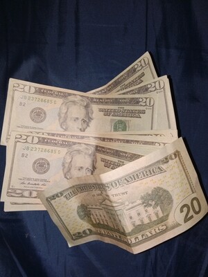 $500 in Cash/ 25 Crisp $20 Dollar Bills