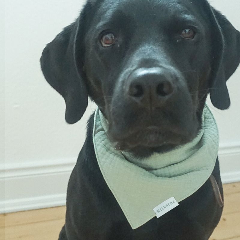 Dreieckstuch (salbei-grün) *WILDHERZ* für Babys, Kinder und Hunde