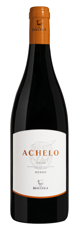 Achelo Cortona DOC 2019