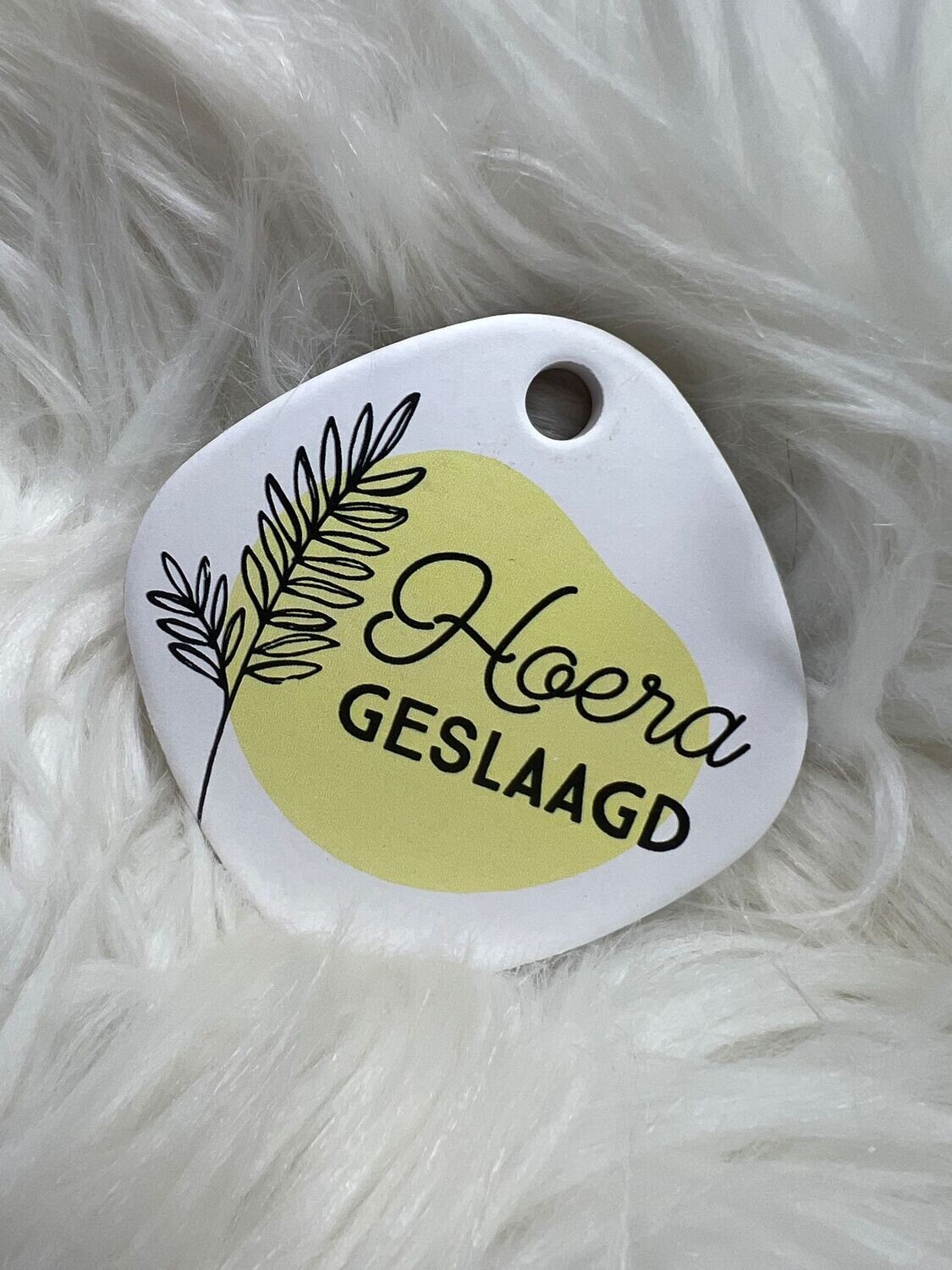 Magneet Geslaagd