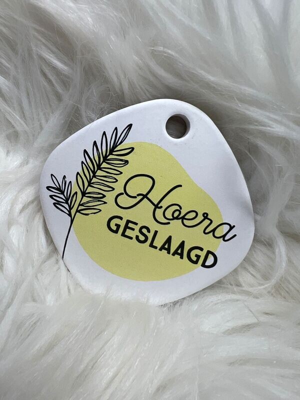 Magneet Geslaagd