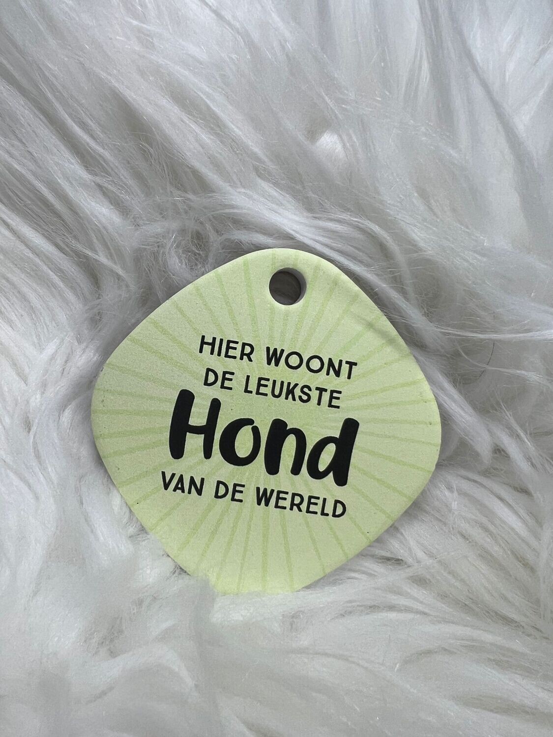 Magneet Hond