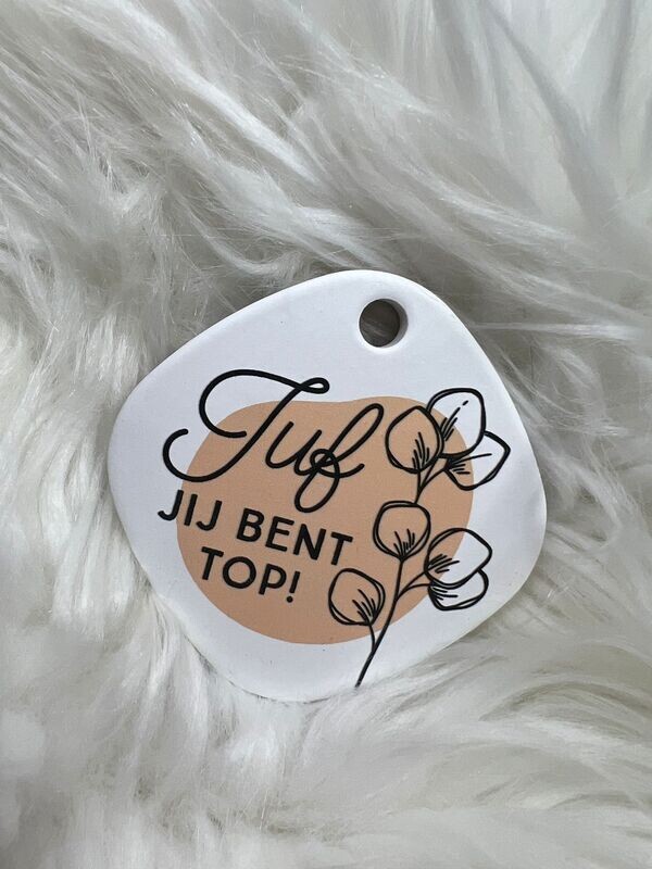Magneet Juf