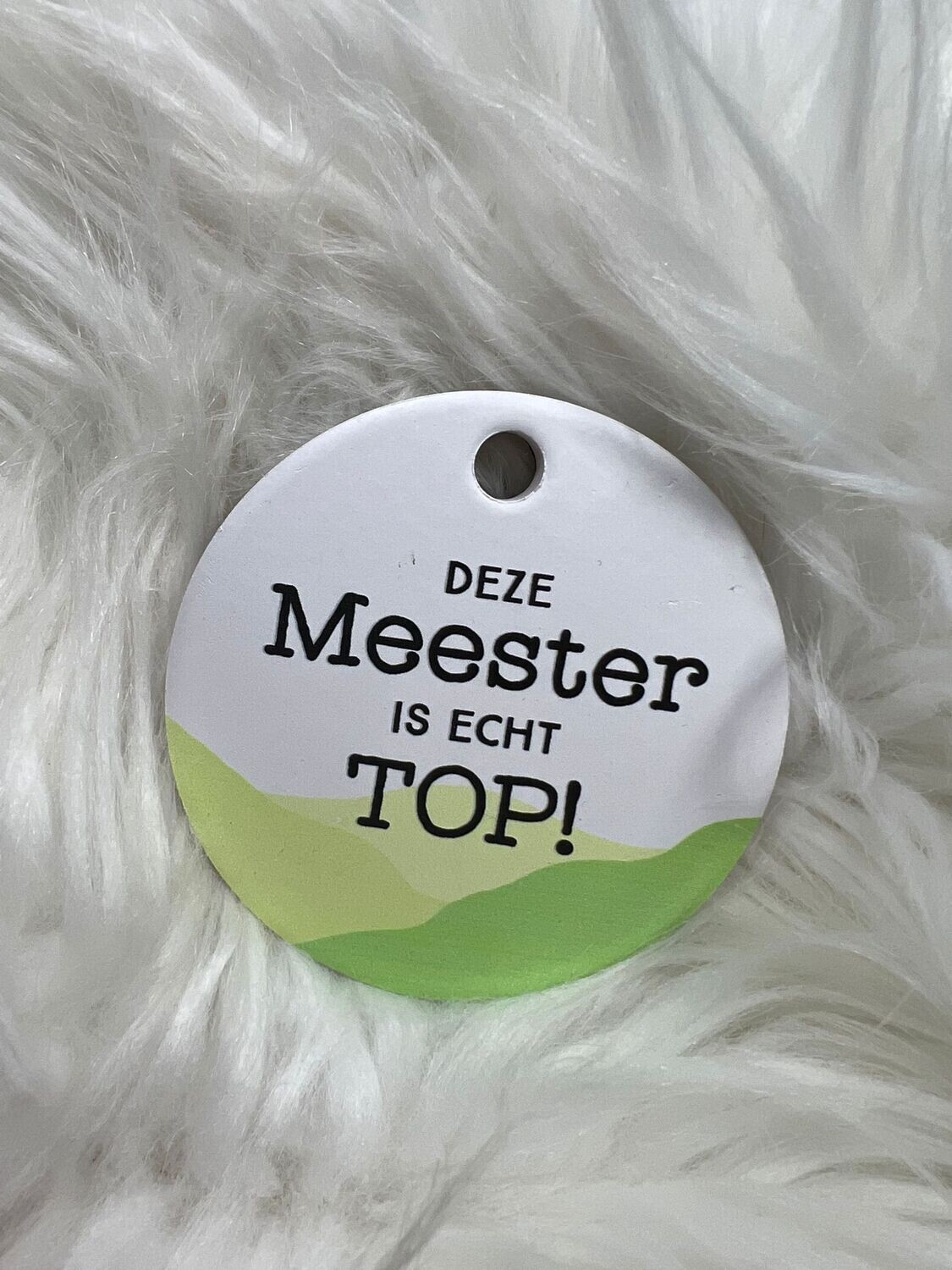Magneet Meester