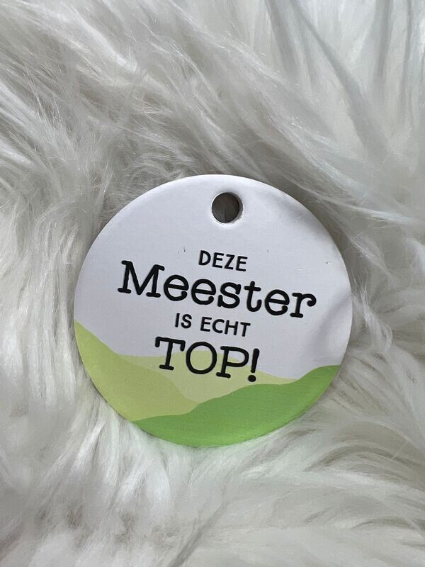 Magneet Meester