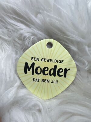 Magneet Moeder