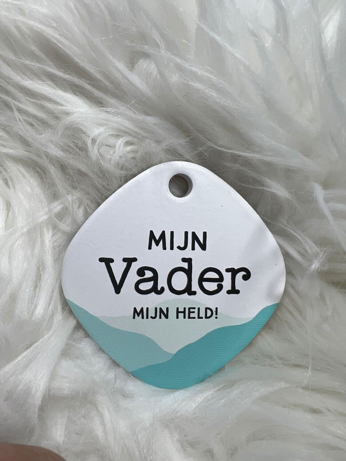 Magneet Vader