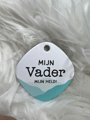 Magneet Vader