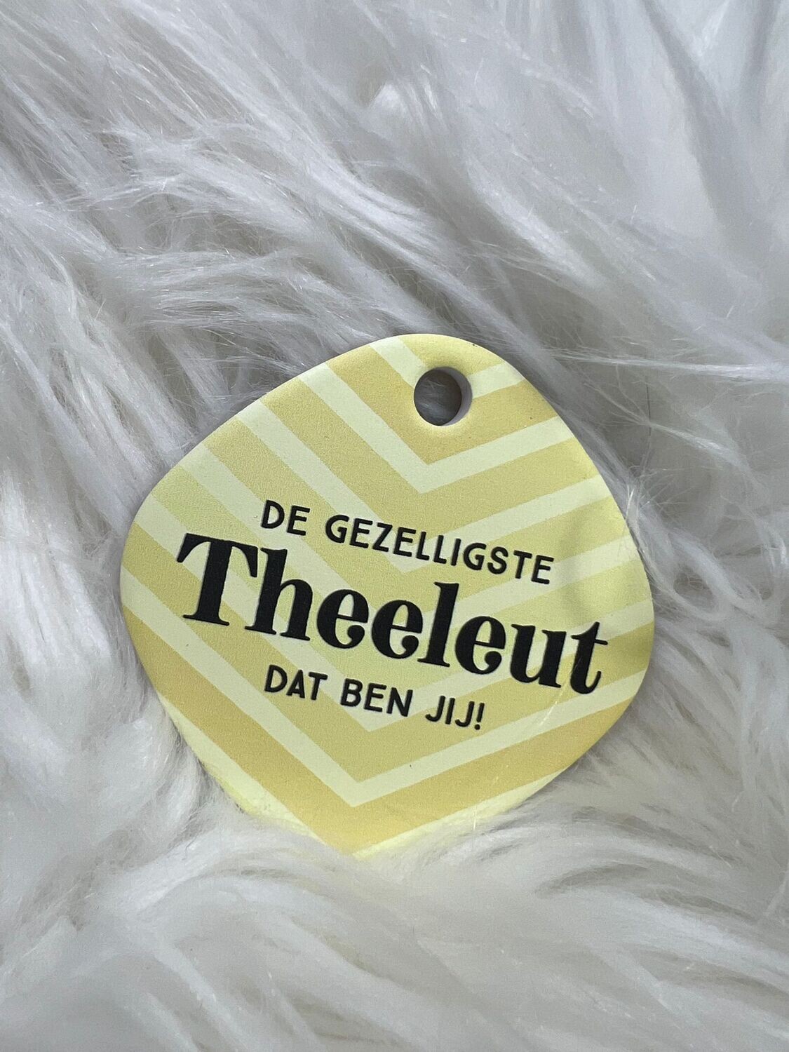 Magneet Theeleut
