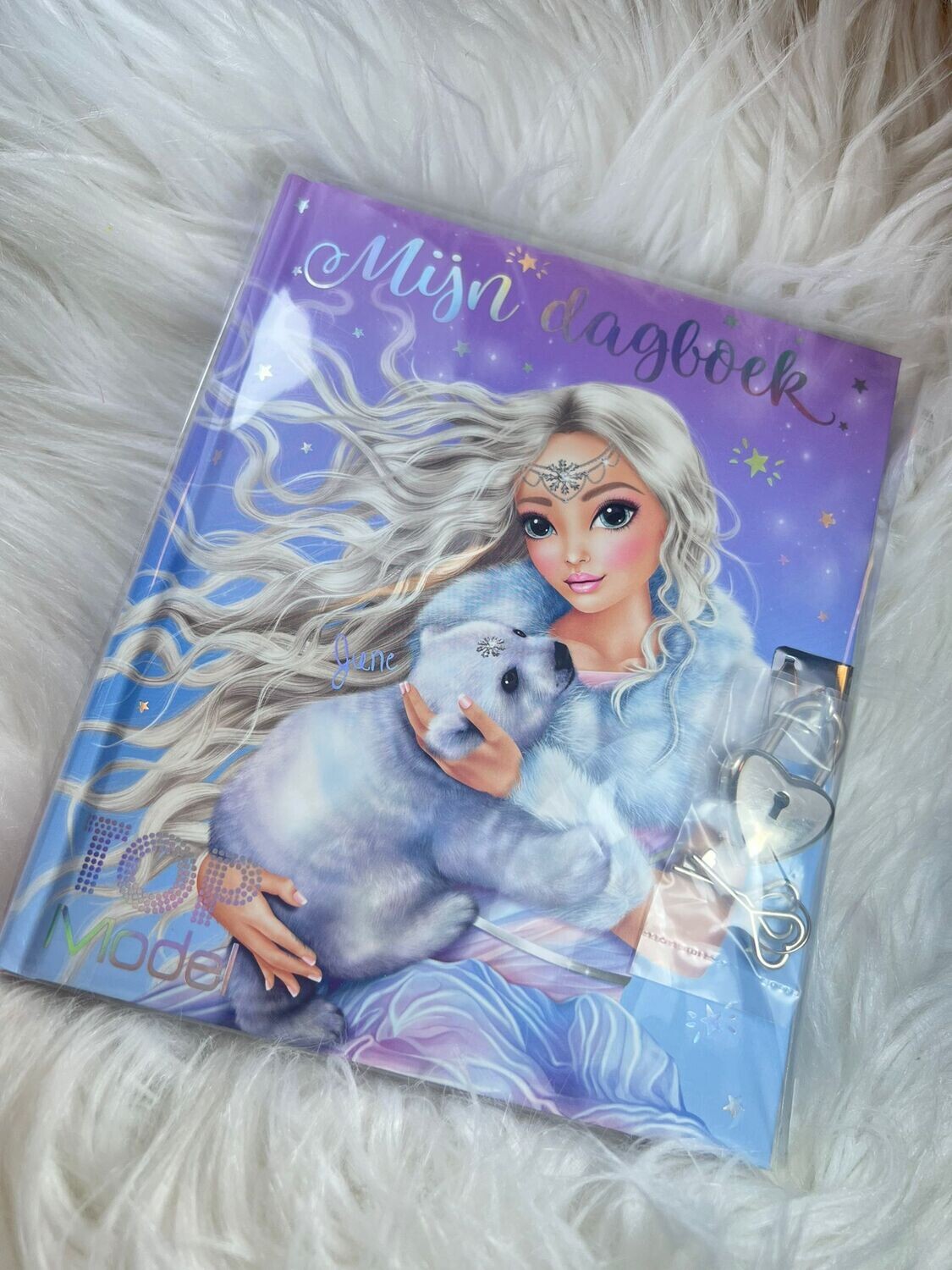 TOPModel Dagboek Iceworld
