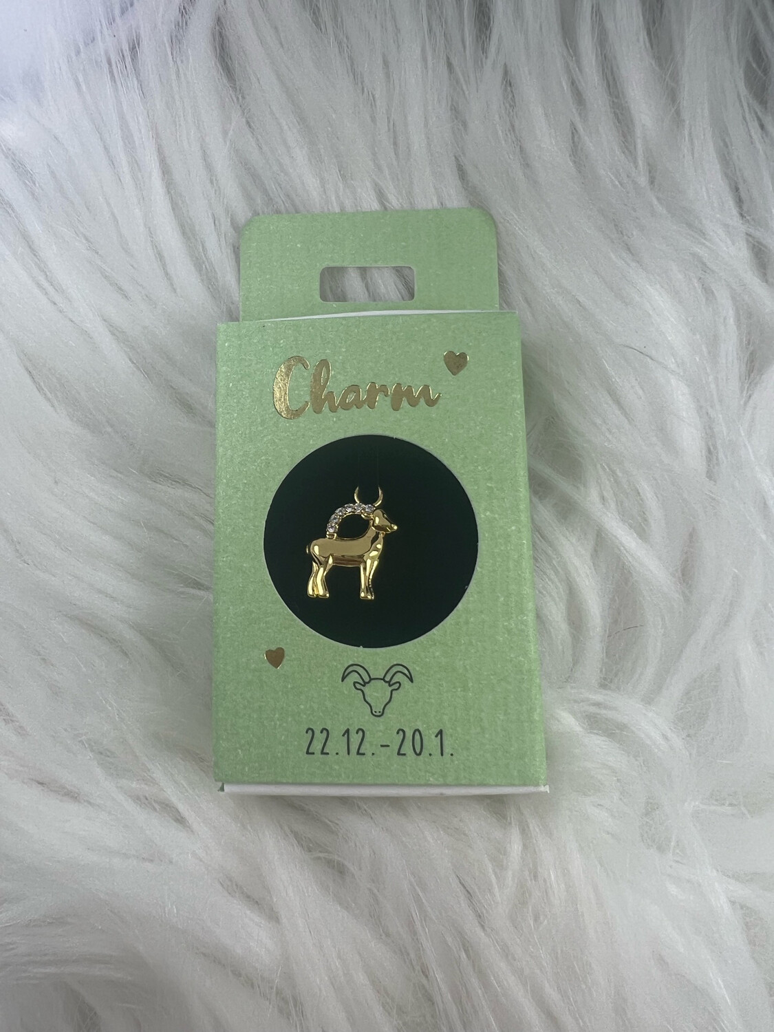 Hanger Oorring Sterrenbeeld Steenbok