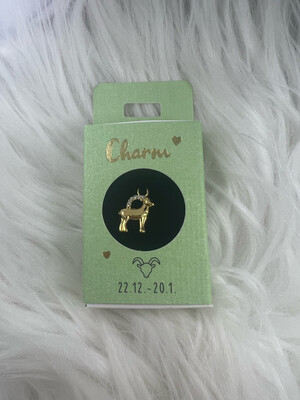Hanger Oorring Sterrenbeeld Steenbok