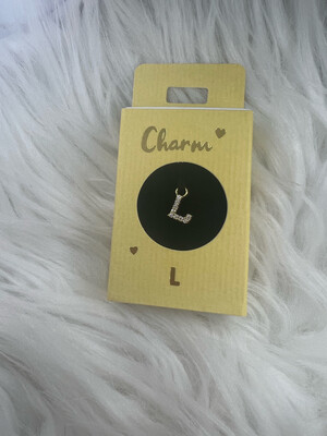 Hanger Oorring L