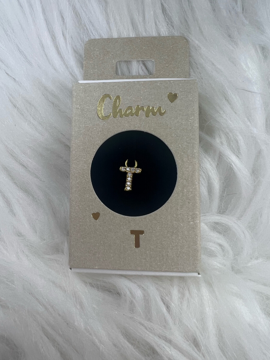 Hanger Oorring T