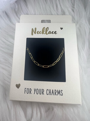 Ketting Goudkleurig Mt6