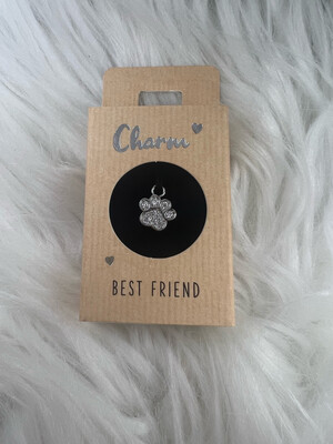 Hanger Oorring Best Friend
