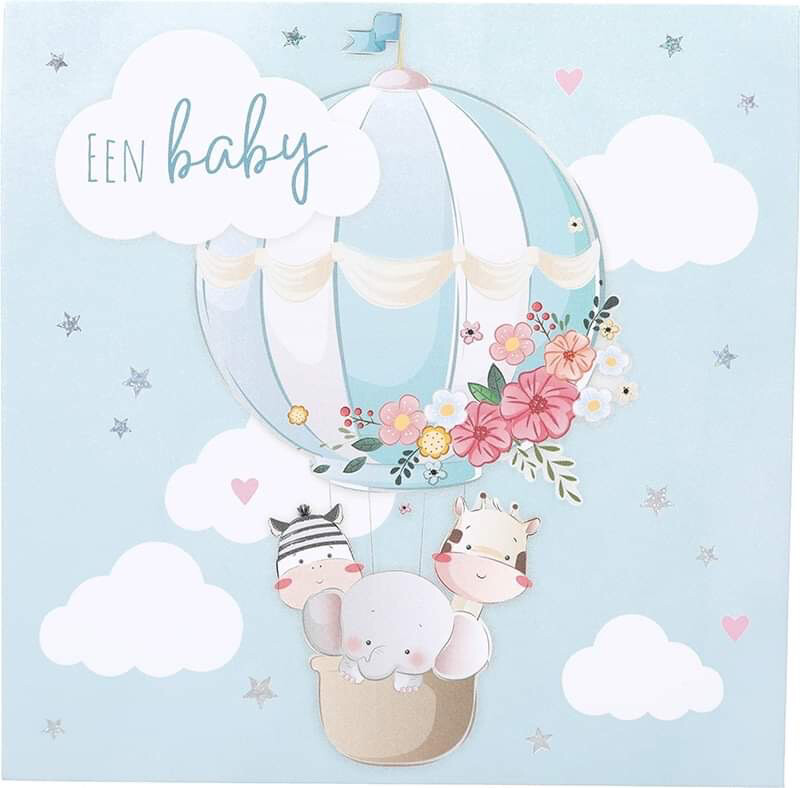 Een Baby K48