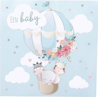 Een Baby K48
