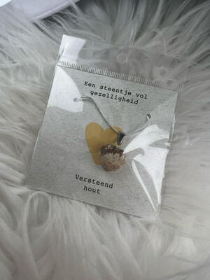 Ketting Versteend Hout