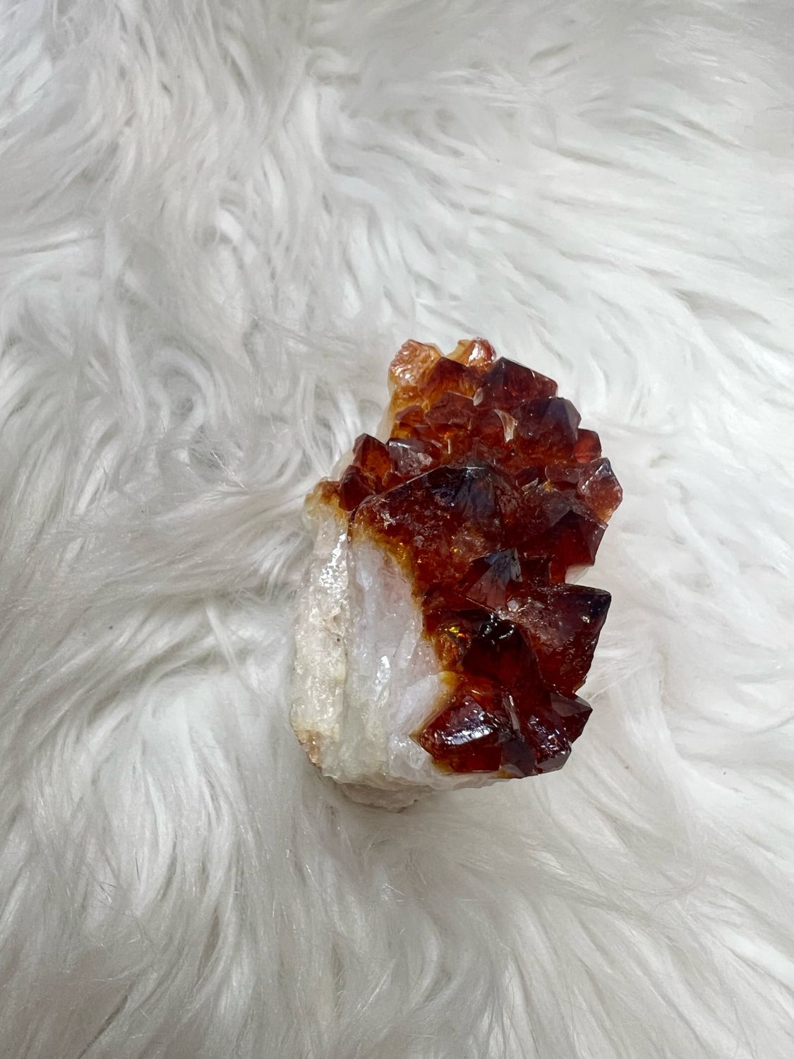 Citrien 338 Gram