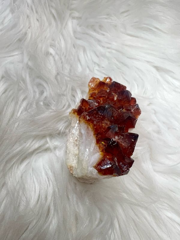 Citrien 338 Gram