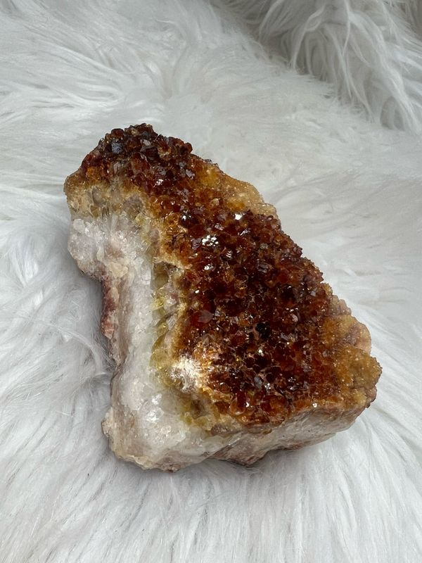 Citrien 665 Gram