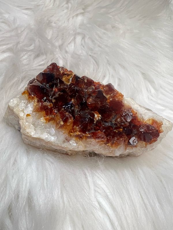 Citrien 504 Gram