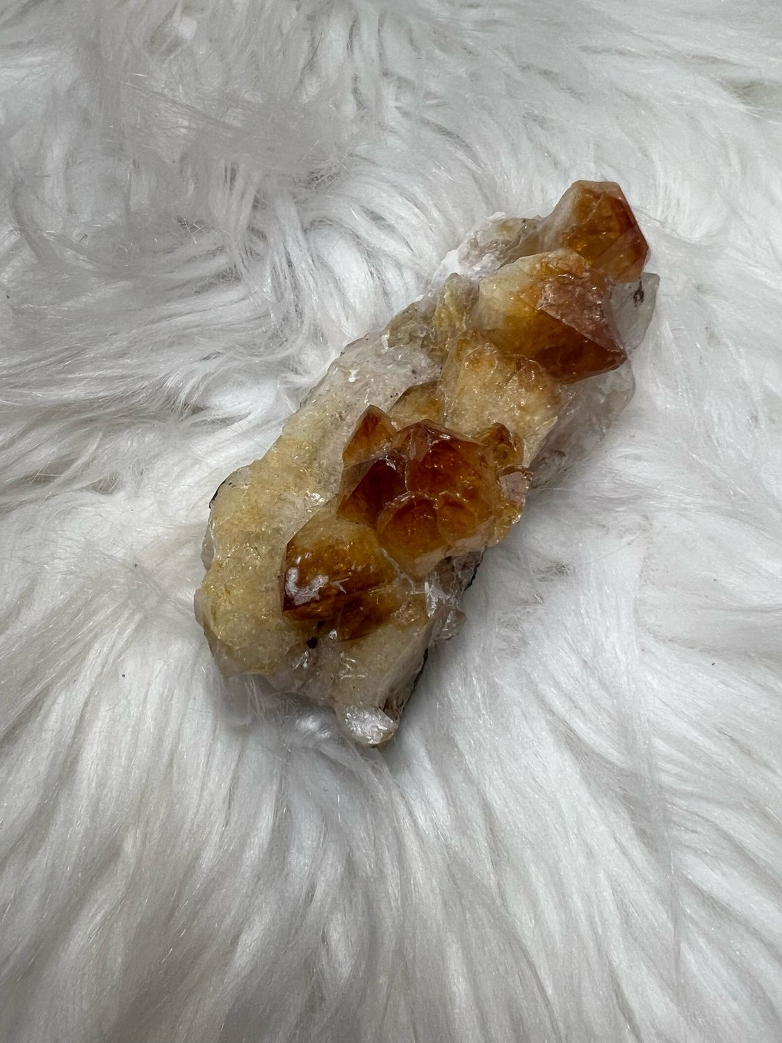 Citrien 168 Gram