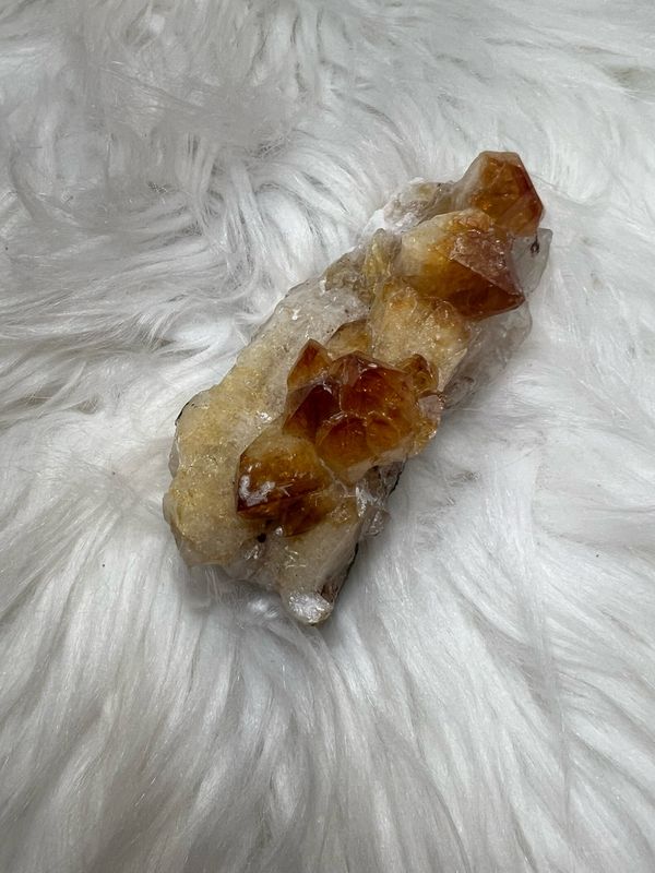 Citrien 168 Gram