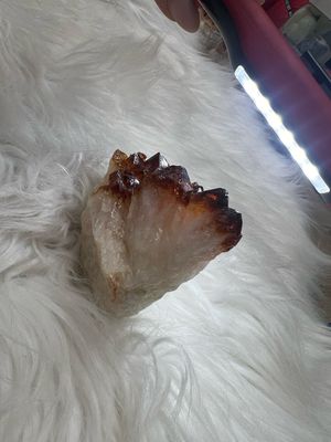 Citrien 338 Gram