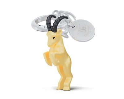 Metalmorphose sleutelhanger horoscoop steenbok