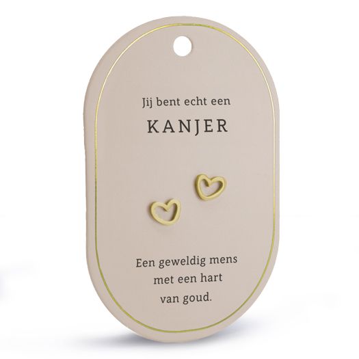 Hart oorringen kanjer goud