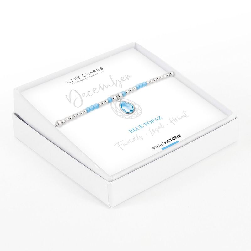 Birthstone armband december