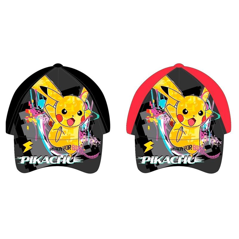 Pokémon pet