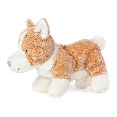 Blue nosed friends corgi